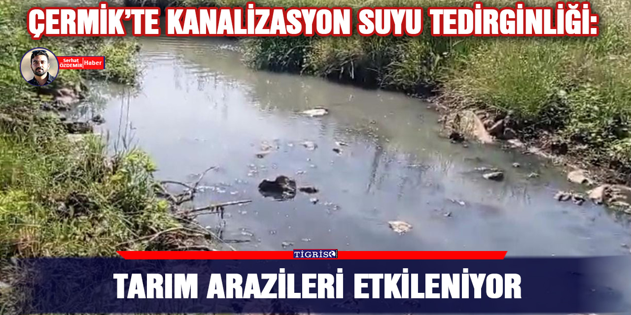 VİDEO - Tarım arazileri etkileniyor