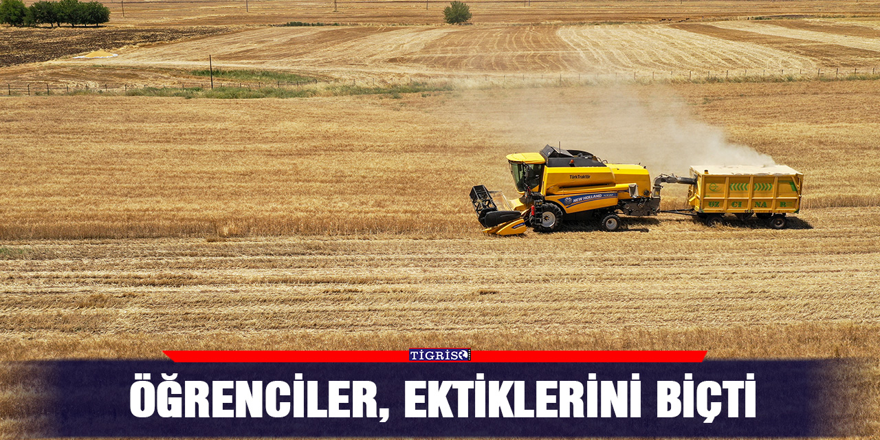 Öğrenciler, ektiklerini biçti