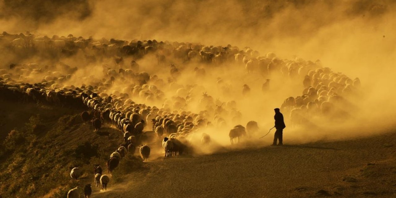 Tozlu ve zorlu yolcuk