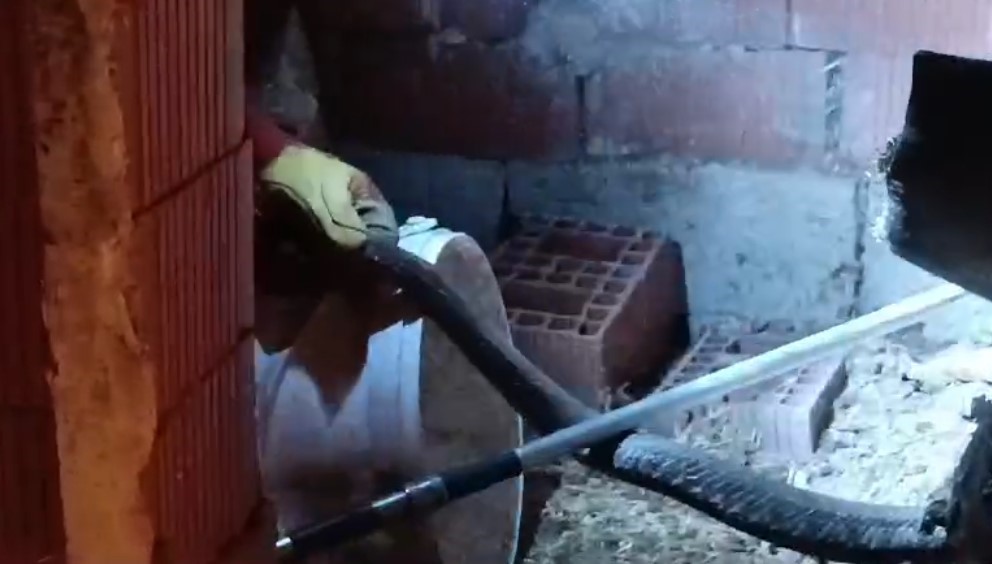 Türünün en zehirli yılanı tavuk kümesine girdi