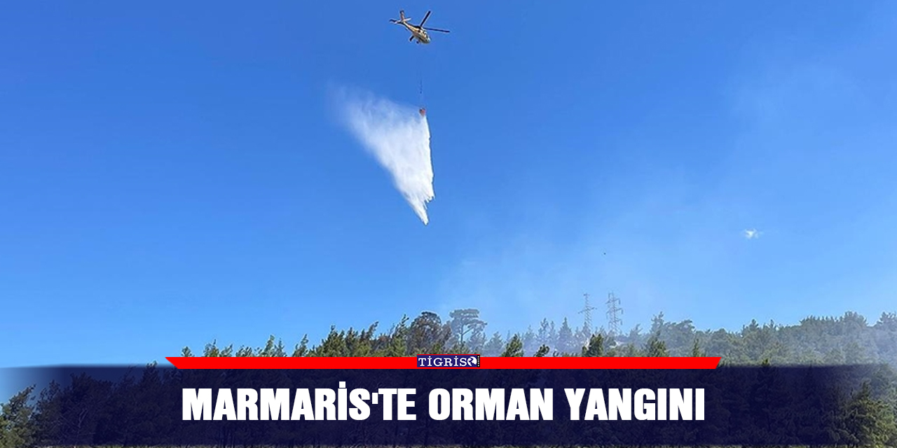 Marmaris'te orman yangını