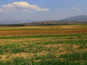 512 çiftçiye ceza yağdı!