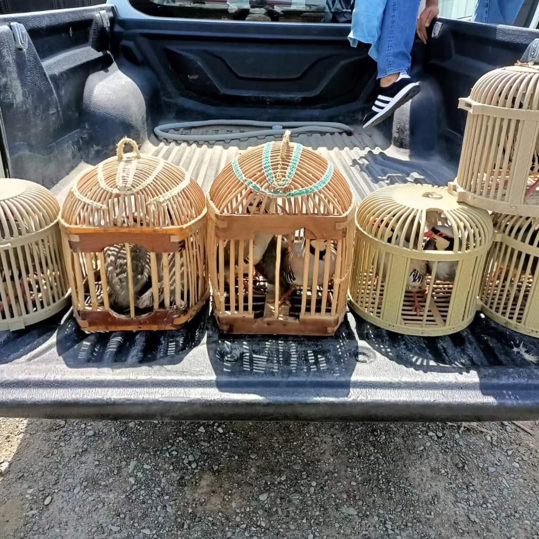 Kaçak avcılara ceza