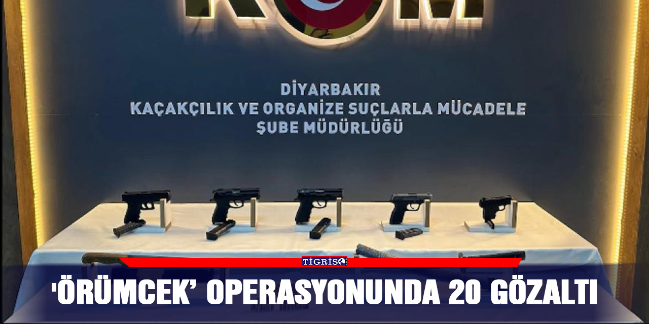 'Örümcek’ operasyonunda 20 gözaltı