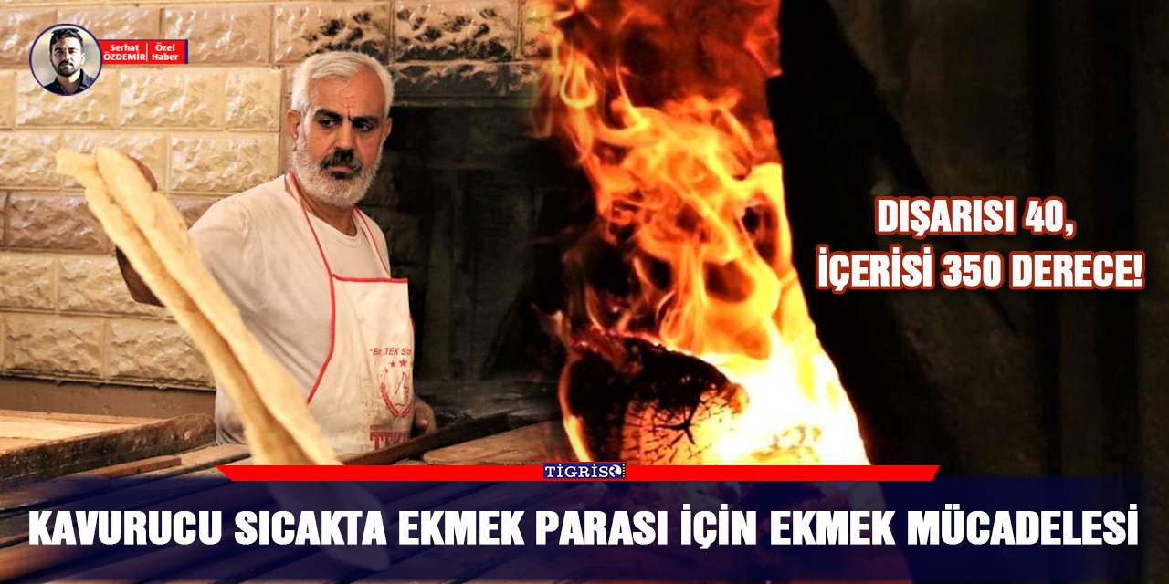 VİDEO - Kavurucu sıcakta ekmek parası için ekmek mücadelesi