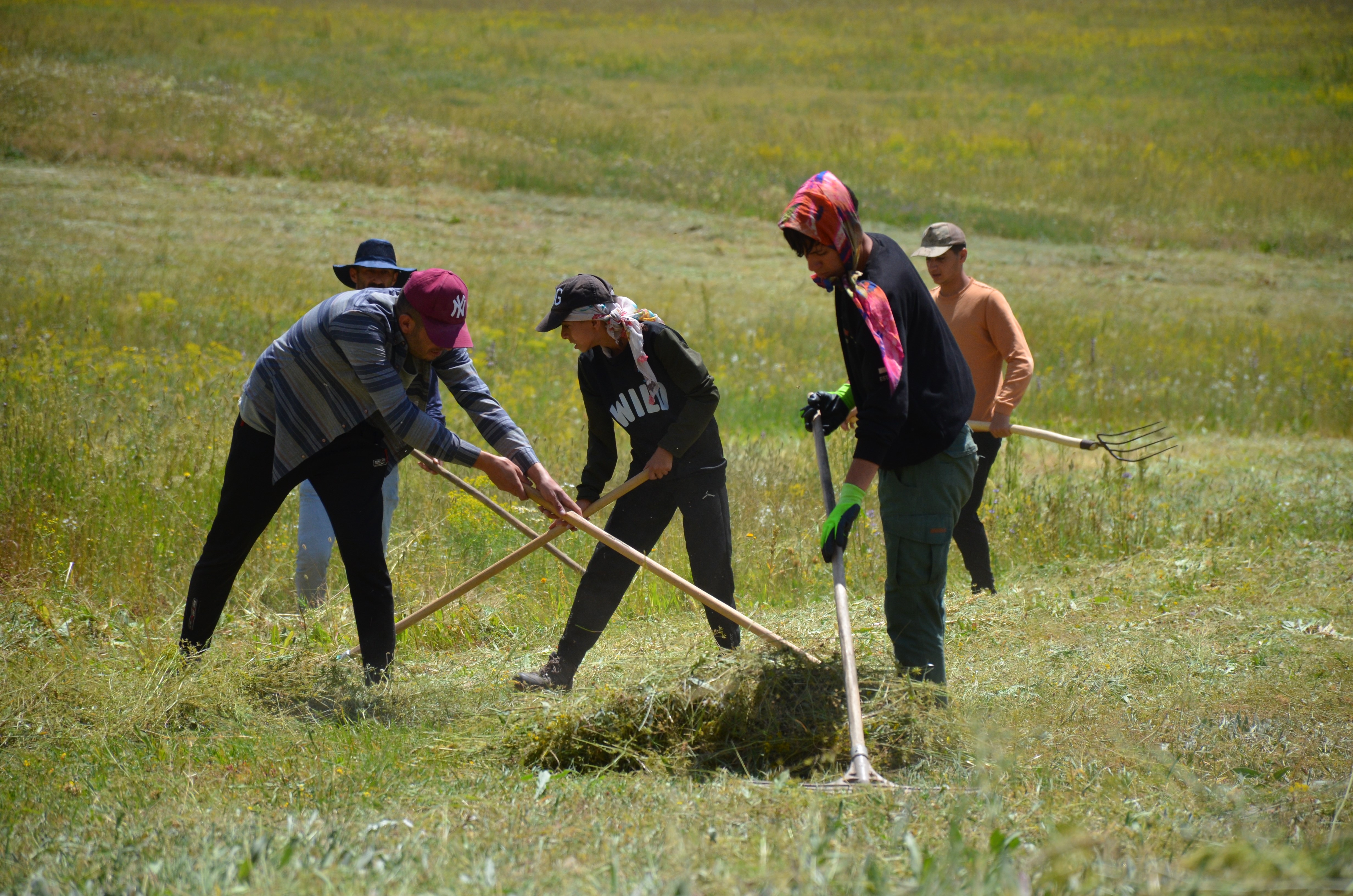 Şırnak yaylalarında kış hazırlığı