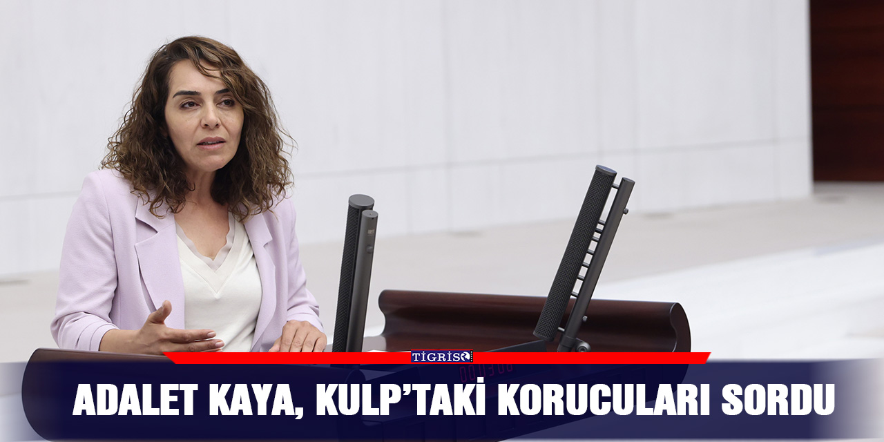 Adalet Kaya, Kulp’taki korucuları sordu