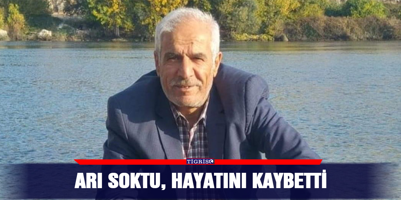 Arı soktu, hayatını kaybetti