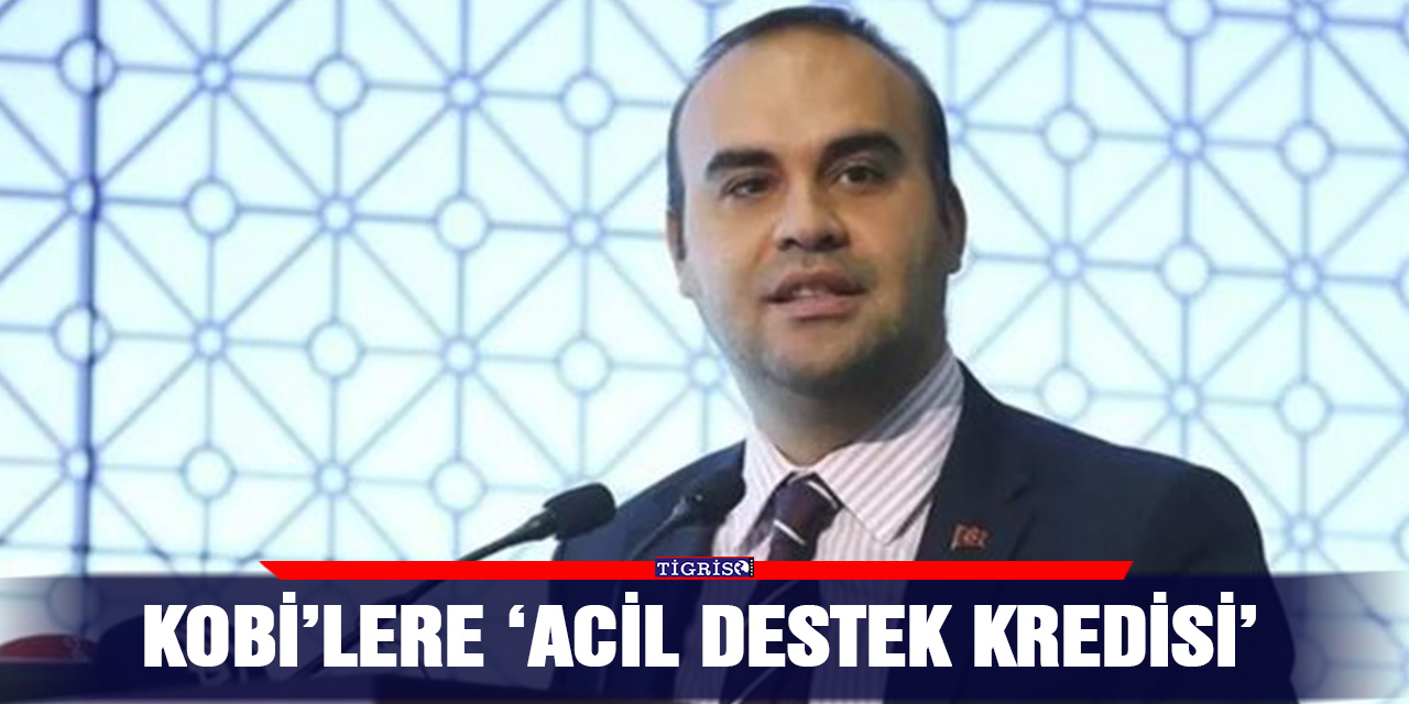 KOBİ’lere ‘Acil Destek Kredisi’