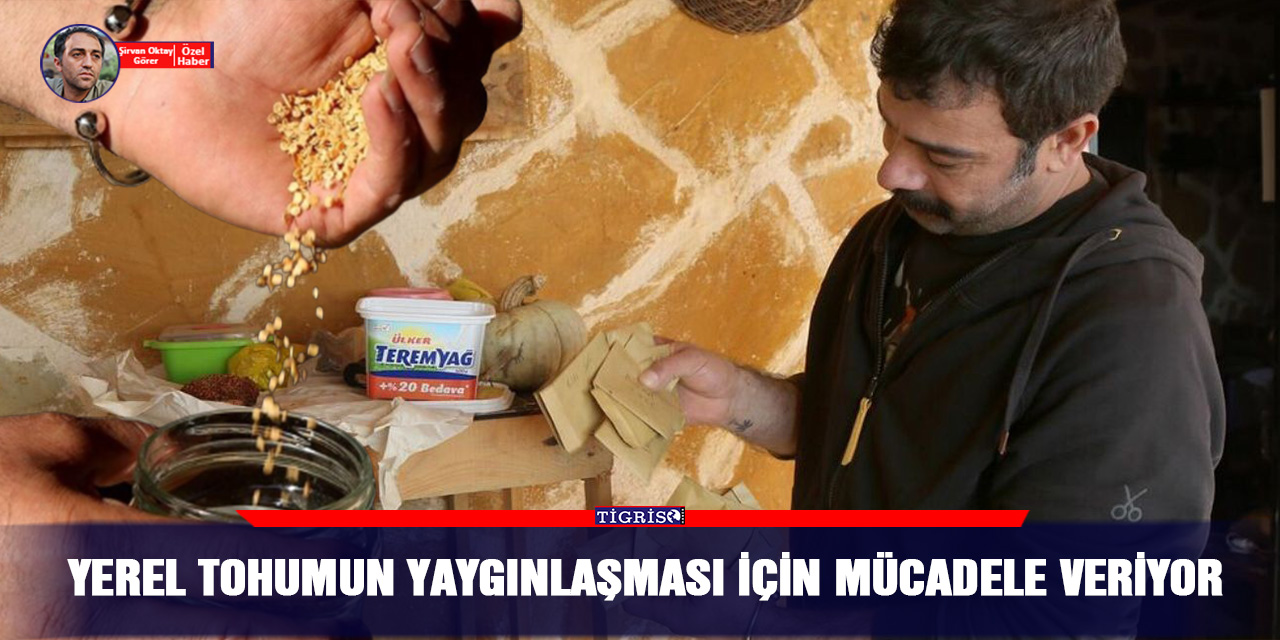 VİDEO - Yerel tohumun yaygınlaşması için mücadele veriyor