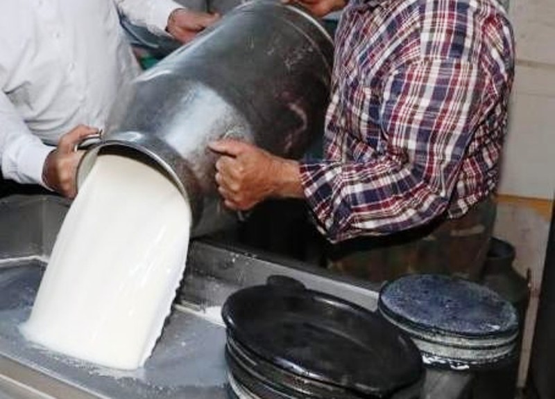 Ticari süt işletmelerince 944 bin 349 ton inek sütü toplandı