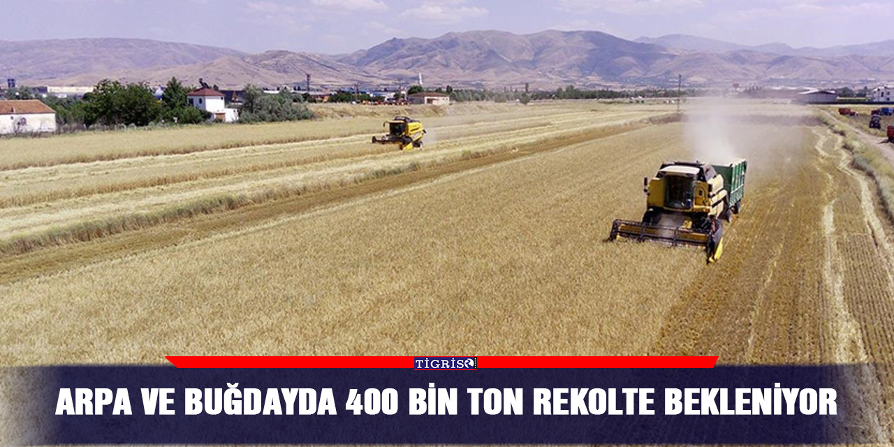 Arpa ve buğdayda 400 bin ton rekolte bekleniyor