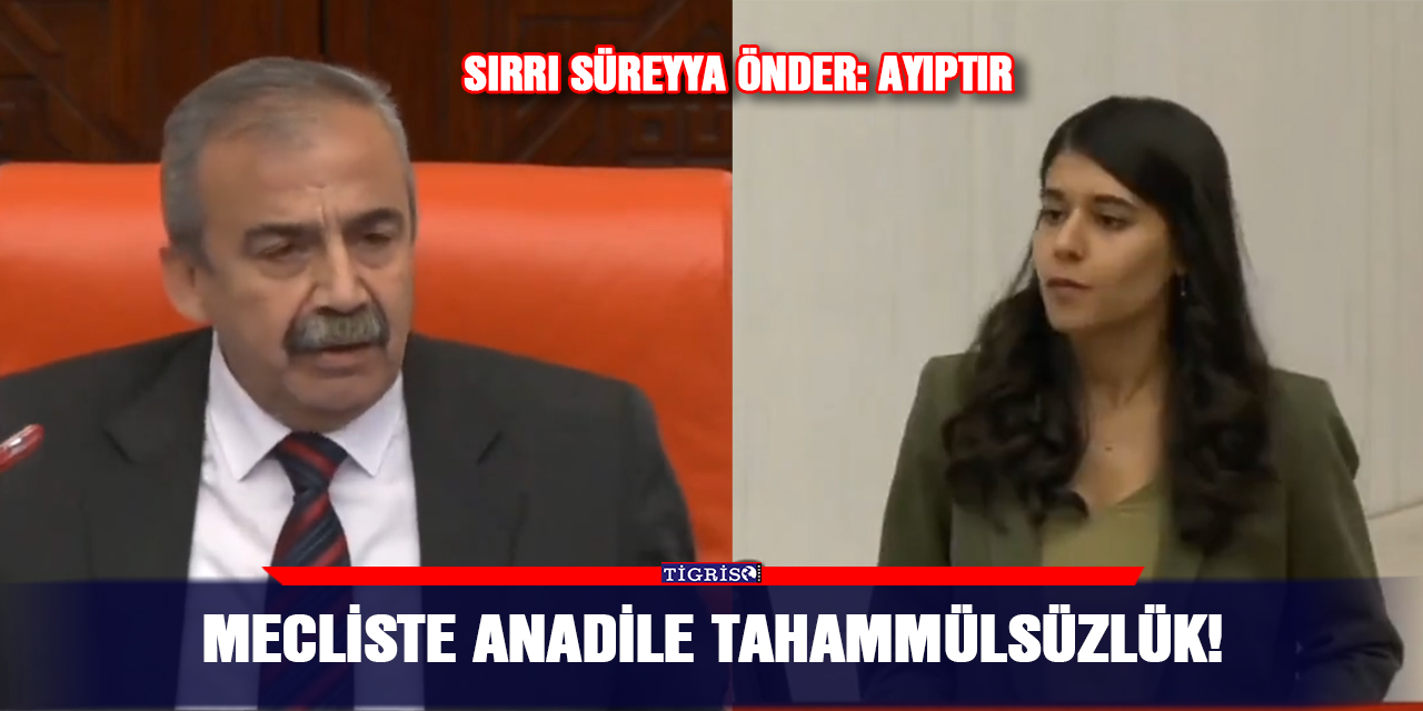 VİDEO - Meclis'te anadile tahammülsüzlük!