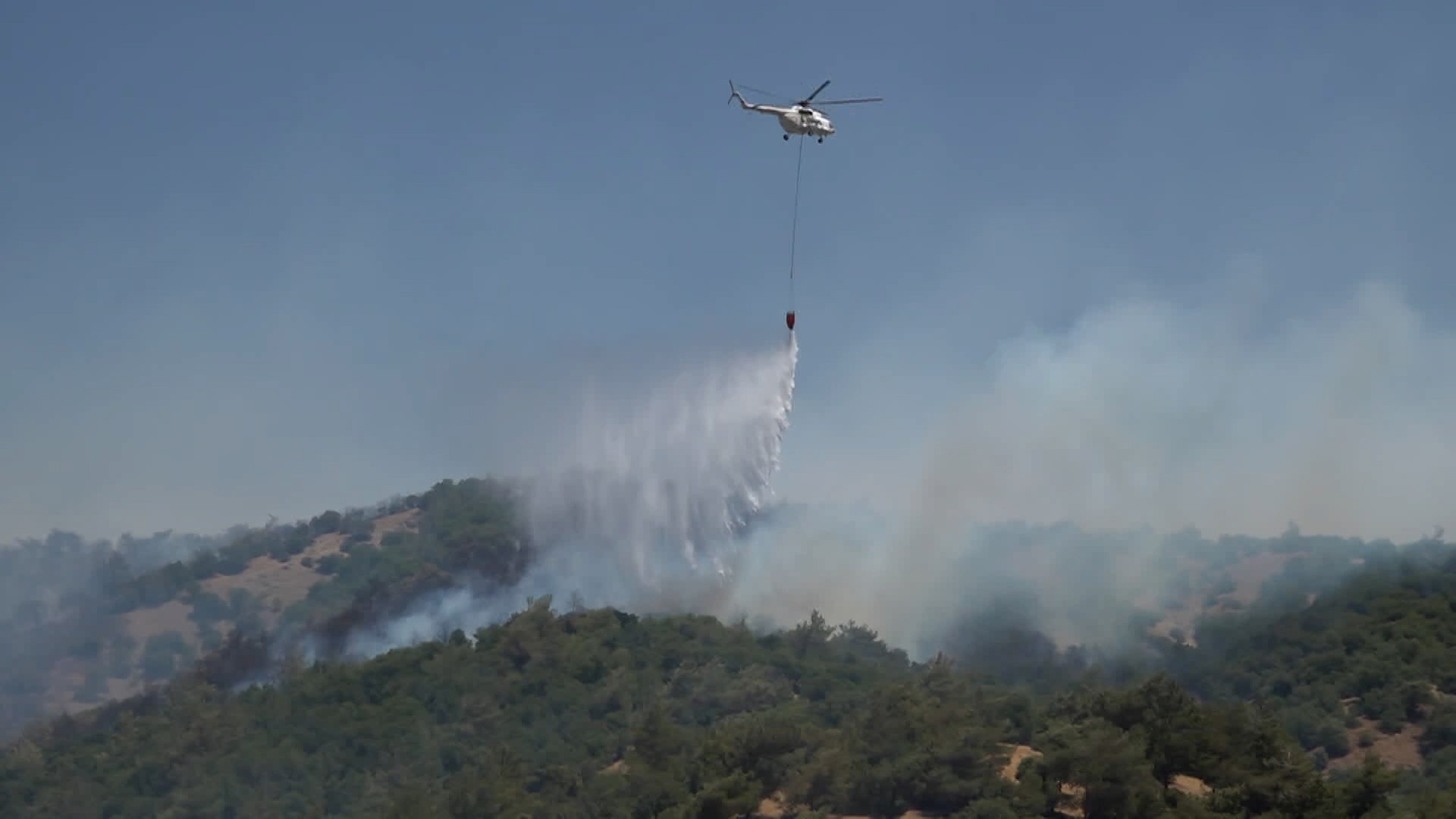Kahramanmaraş'ta orman yangını çıktı.