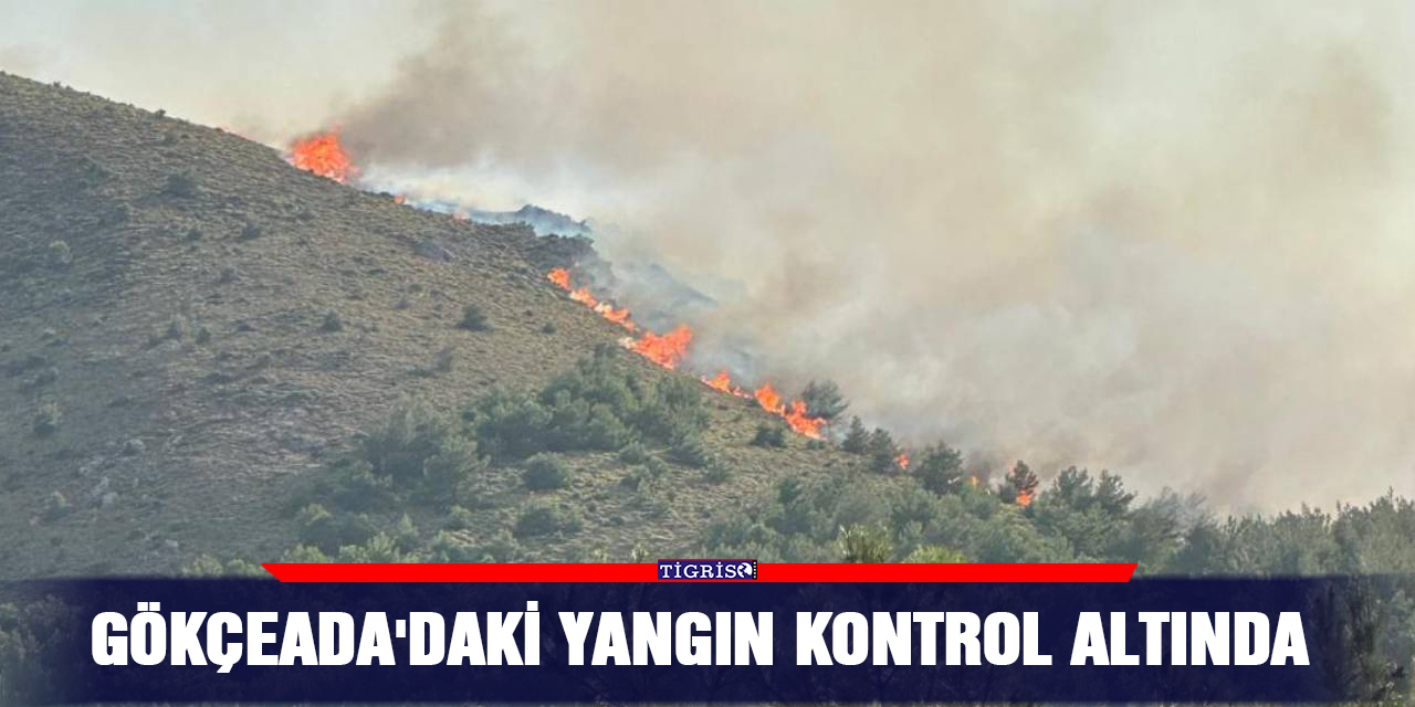 Gökçeada'daki yangın kontrol altında