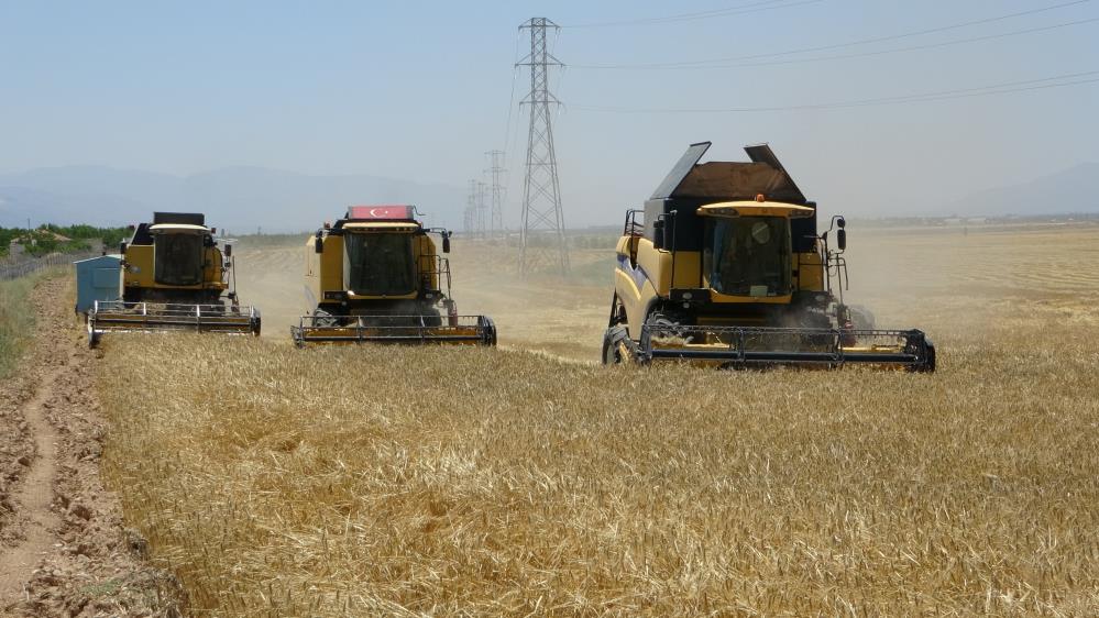 Sultan Suyu’nda hububat hasadı başladı