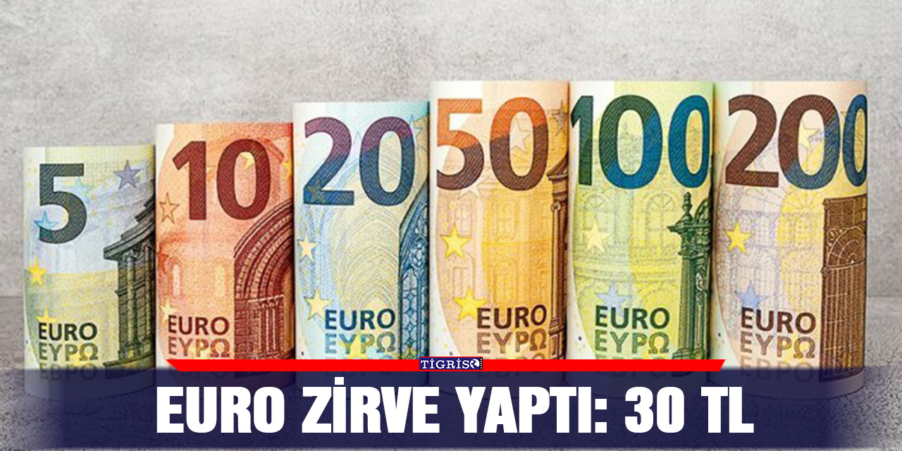 Euro zirve yaptı: 30 TL
