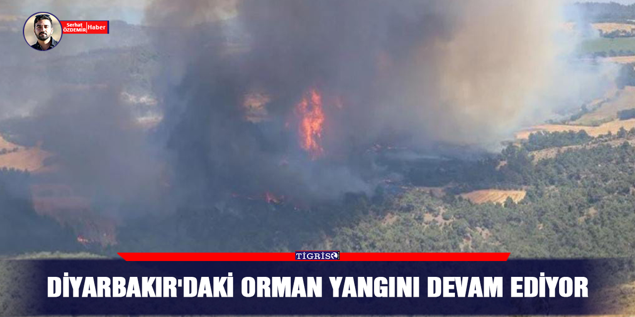 Diyarbakır'daki orman yangını devam ediyor
