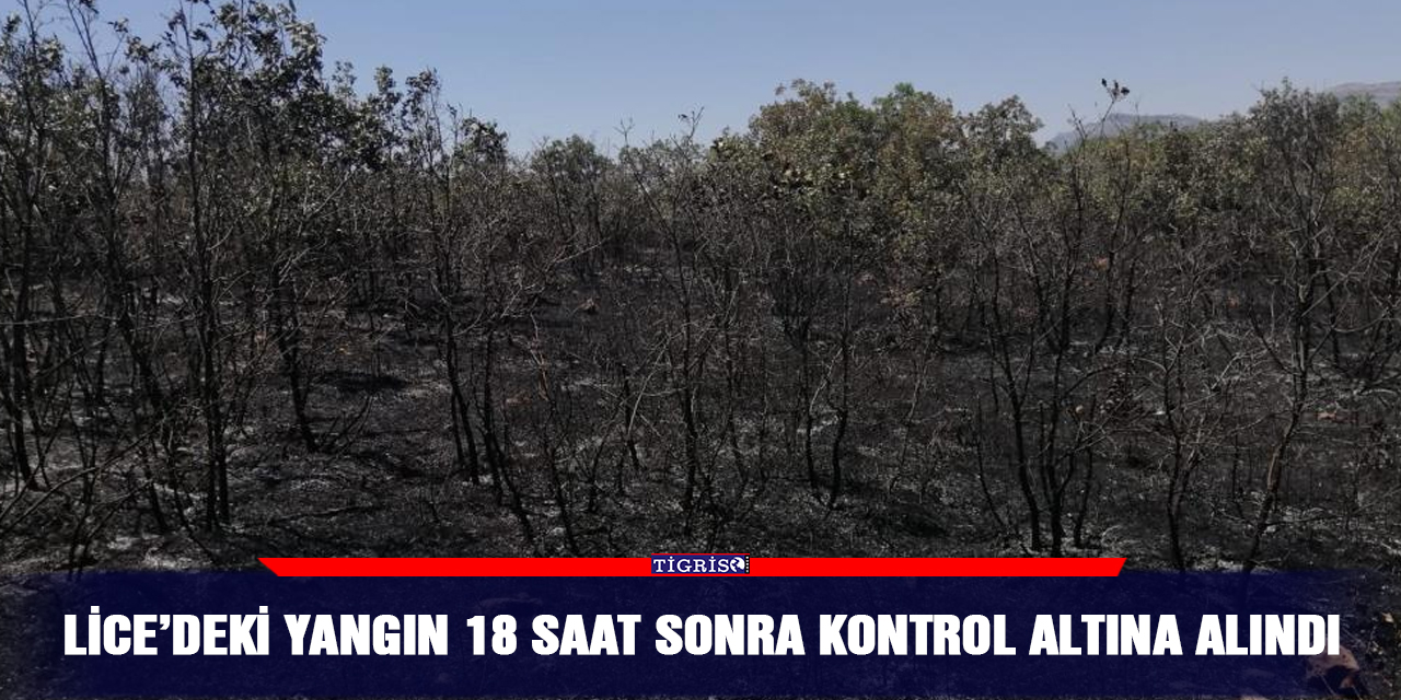 Lice’deki yangın 18 saat sonra kontrol altına alındı