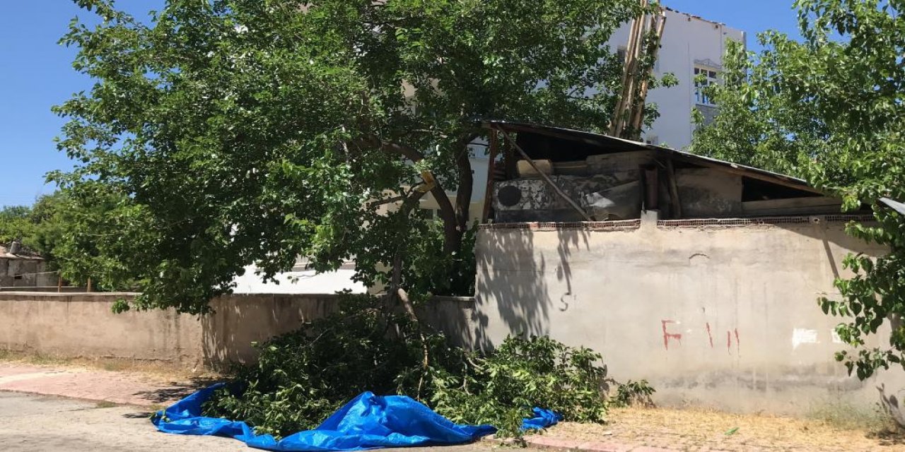 Dut ağacından düşen bir kişi hayatını kaybetti