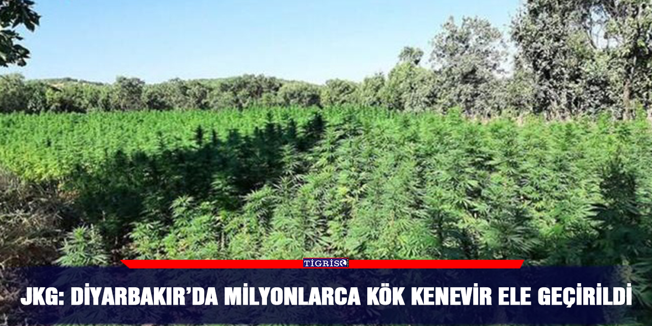 JKG: Diyarbakır’da milyonlarca kök kenevir ele geçirildi