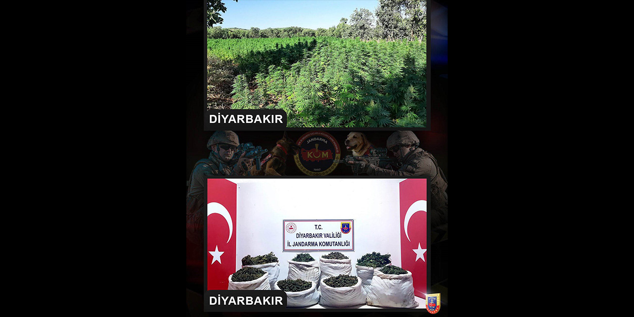 Diyarbakır’da uyuşturucu operasyonu
