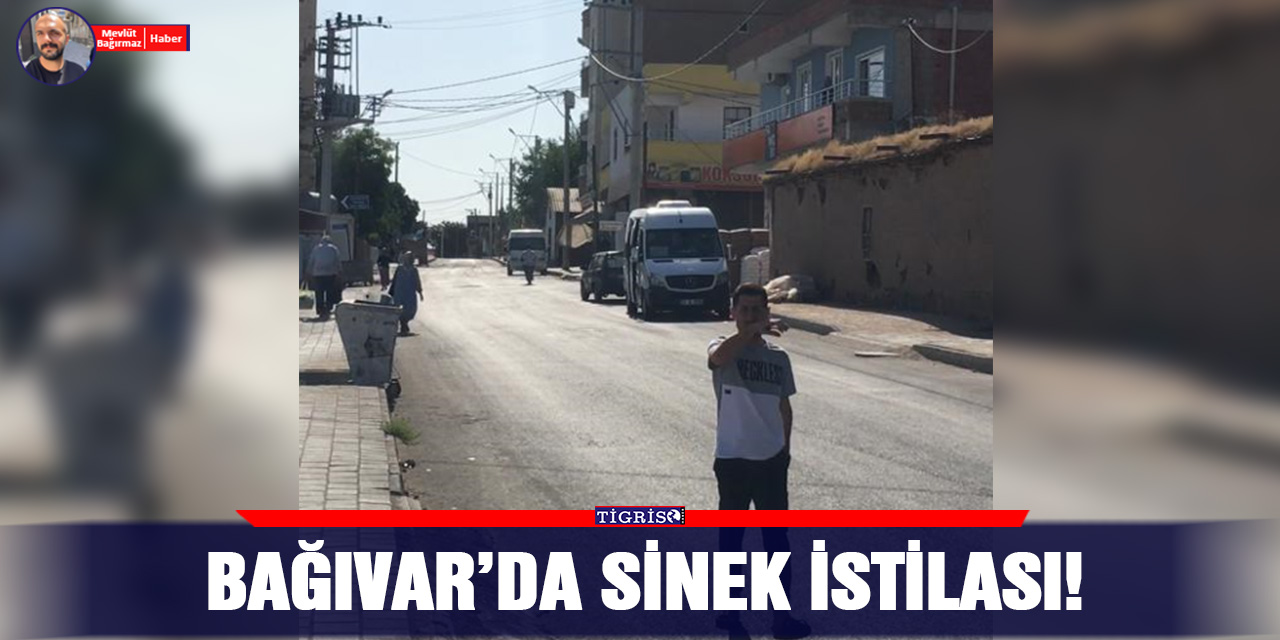 VİDEO - Bağıvar’da Sinek istilası!