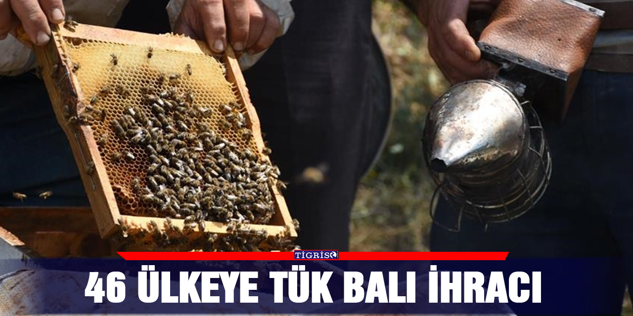 46 ülkeye Tük balı ihracı