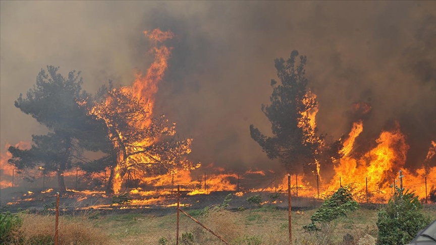 Orman yangınlarının sebebi ihmal ve kazalar