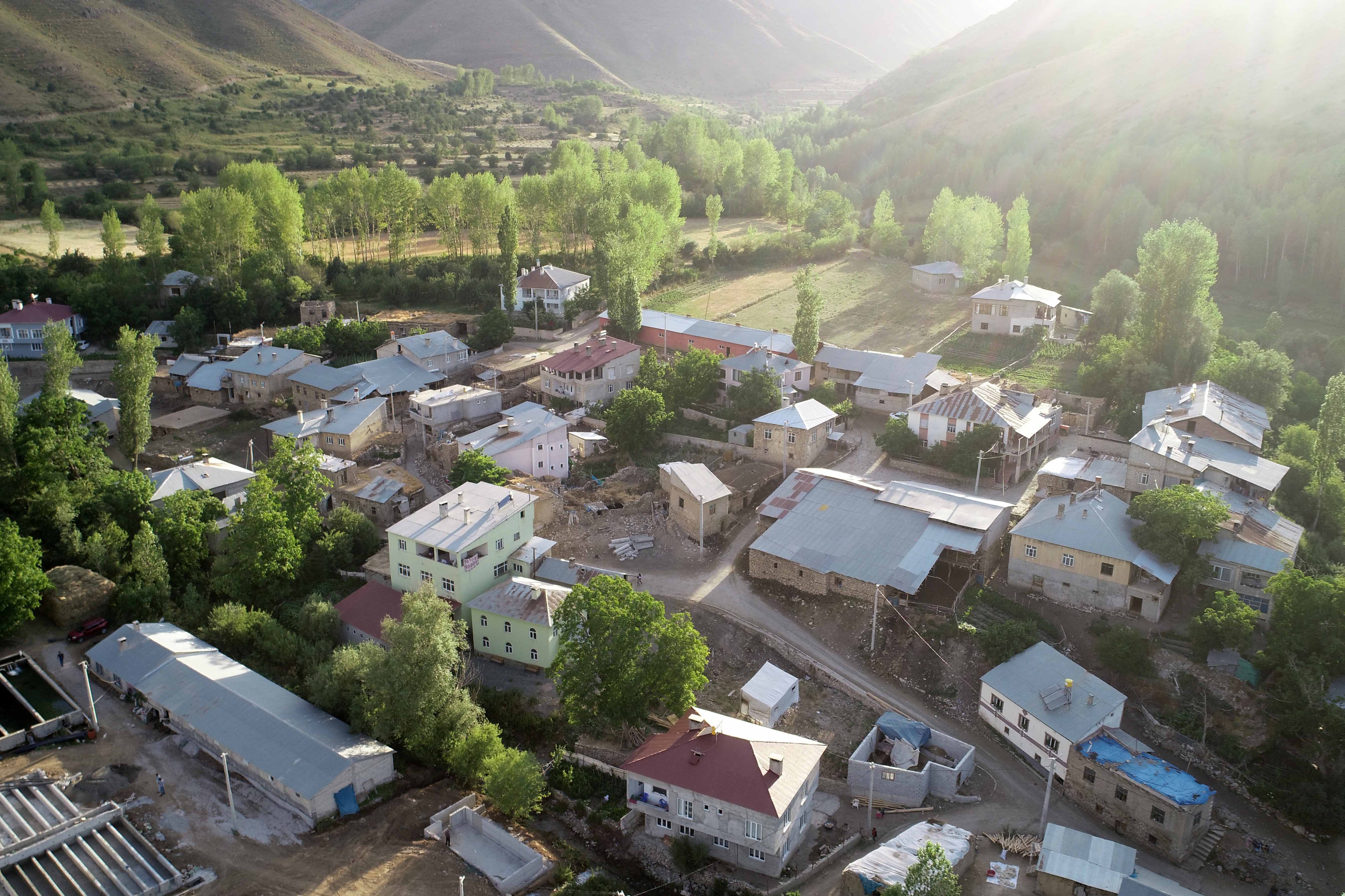 Jandarma kaybolan 15 büyükbaş hayvanı arıyor