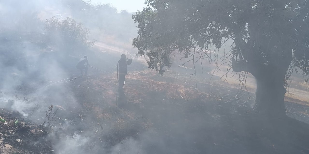 Siirt'te çıkan yangın söndürüldü