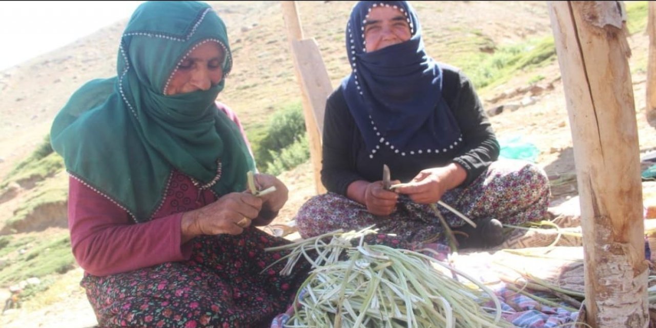 Peynire, çökeleğe tad veren Kamış otu