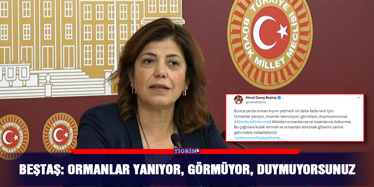 Beştaş: Ormanlar yanıyor, görmüyor, duymuyorsunuz!
