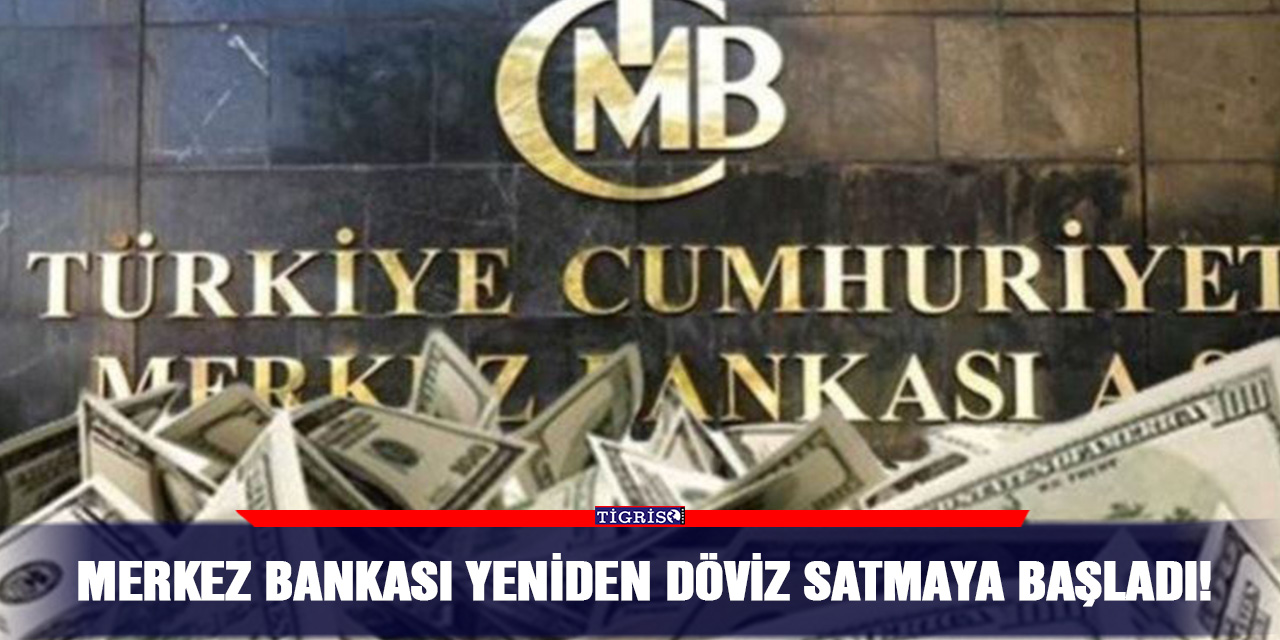 Merkez Bankası Yeniden Döviz Satmaya Başladı!