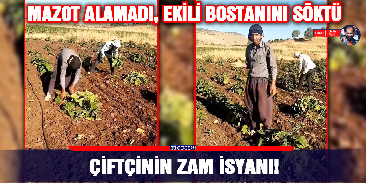 VİDEO - Çiftçinin zam isyanı!