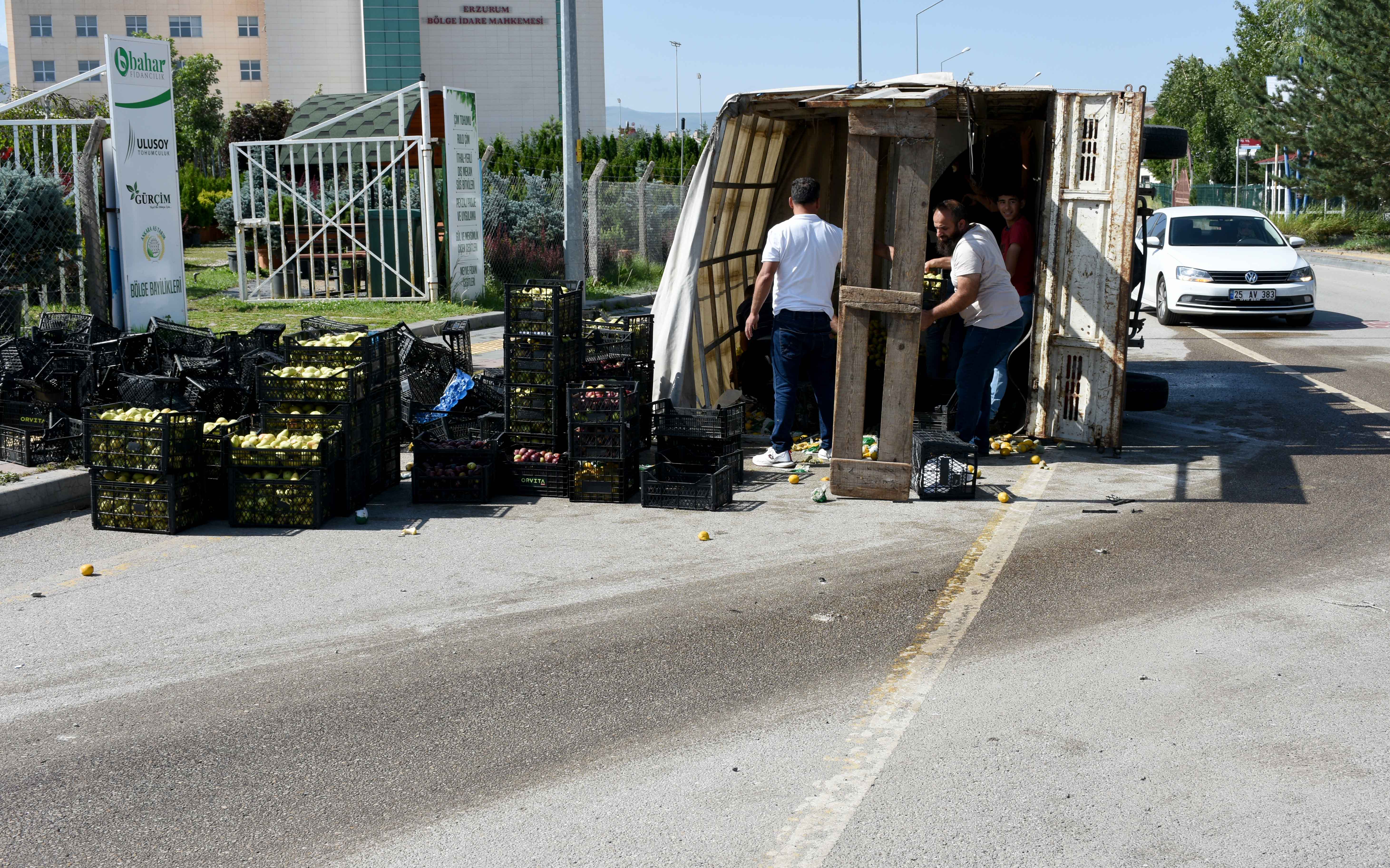 Kamyonet devrildi, meyveler dağıldı