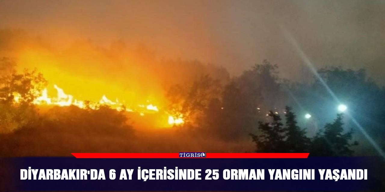 Diyarbakır'da 6 ay içerisinde 25 orman yangını yaşandı