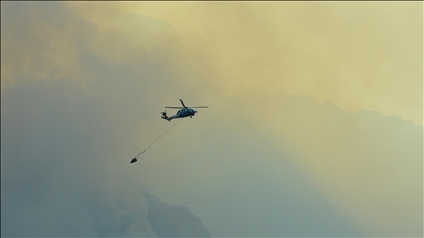 Orman yangınlarıyla mücadele aralıksız sürüyor