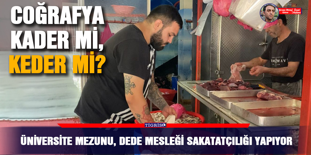 VİDEO - Üniversite mezunu, dede mesleği sakatatçılığı yapıyor