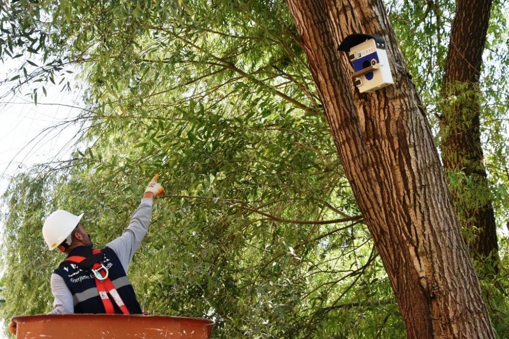 Atıl panolar kuş yuvası oldu