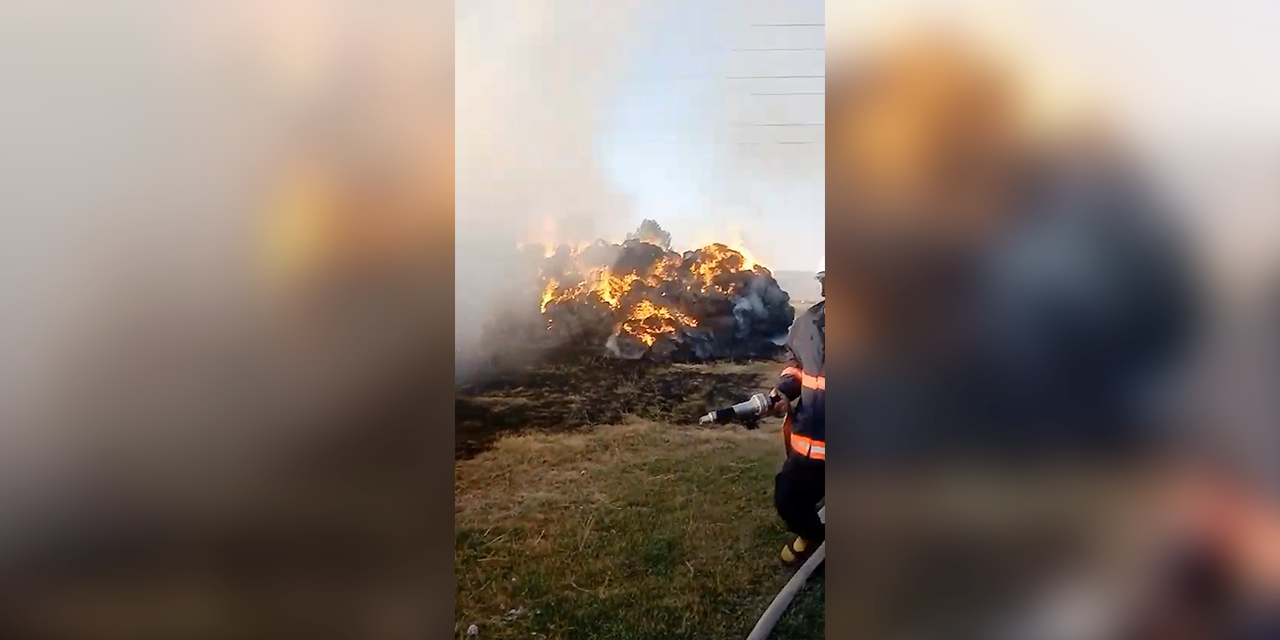 Yüksekova'da çıkan yangında 20 bin bağ ot kül oldu
