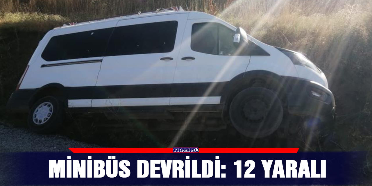 Minibüs devrildi: 12 yaralı