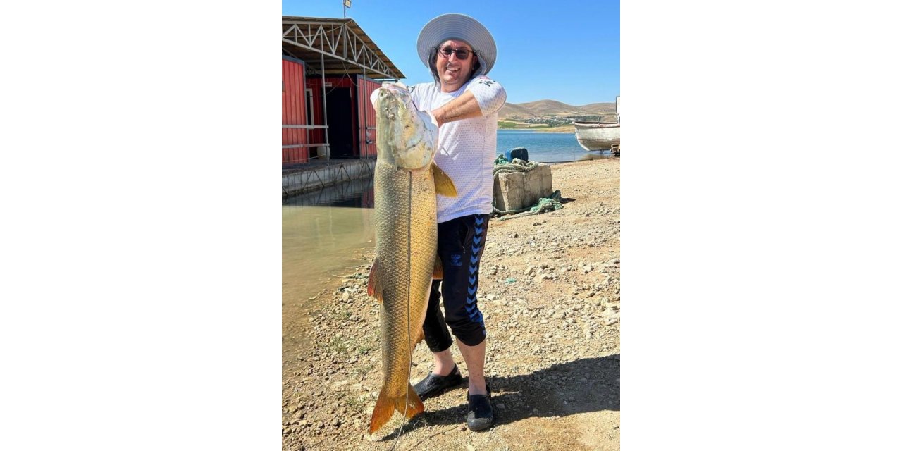 Oltaya Fırat turnası takıldı