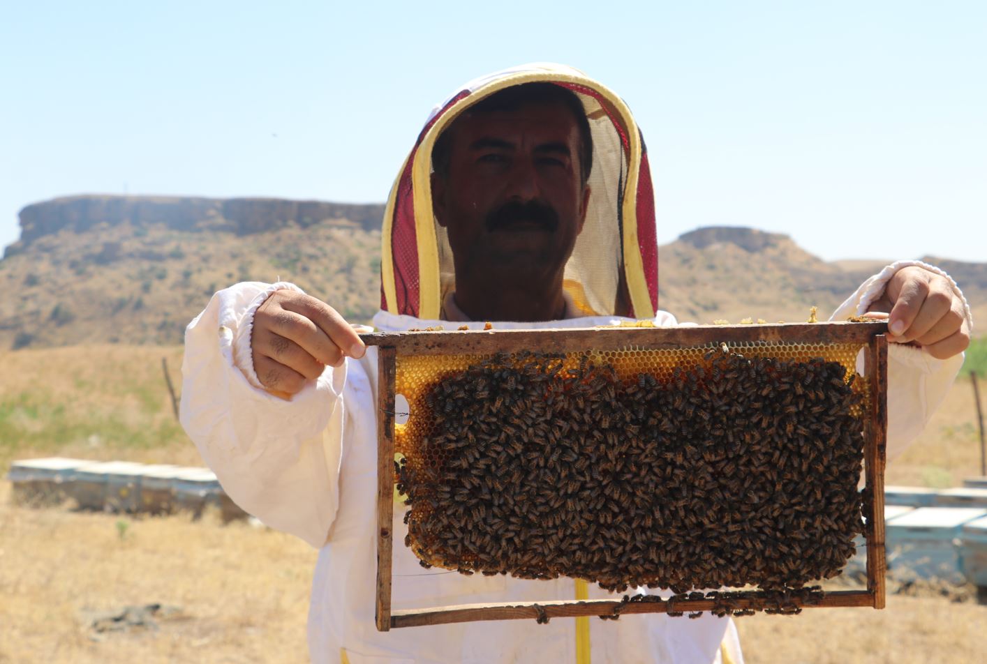 Batman’da bal fiyatı belirlendi