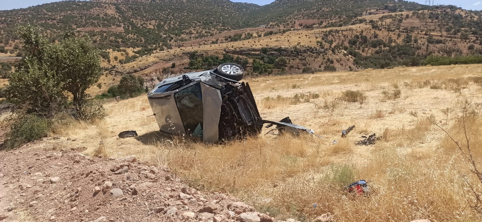 Gercüş'te devrilen otomobilin sürücüsü yaralandı