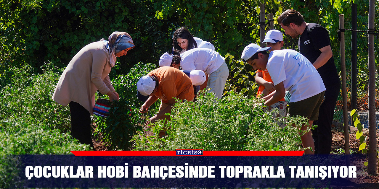VİDEO - Çocuklar hobi bahçesinde toprakla tanışıyor