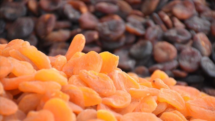 Kuru kayısı, depremden etkilenen Malatya'ya 436 milyon dolar getirdi