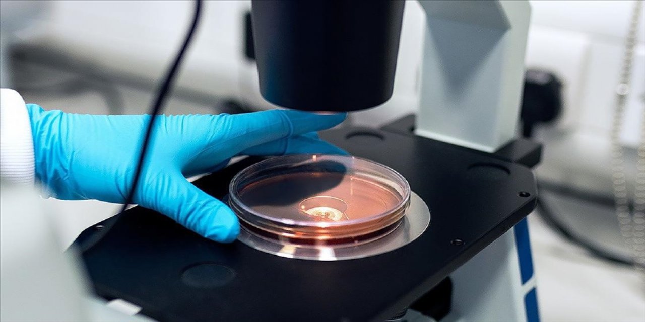 'Yeni keşif: Sıtmanın insanlara bulaşmasını engelleyebilir'