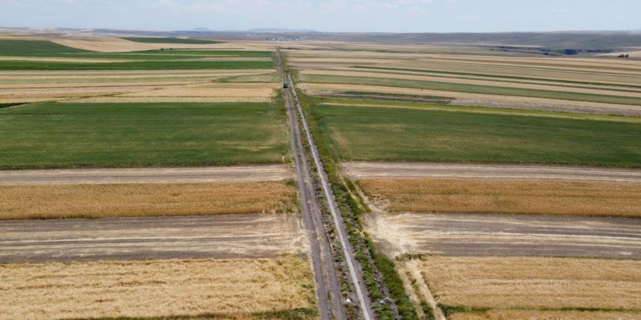 Tarlalardan bu yıl bereket fışkırdı