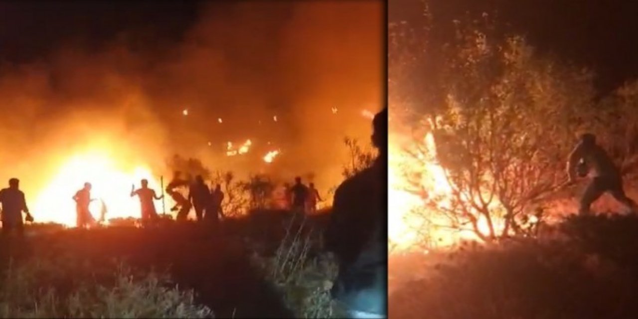 Karacadağ Bal Ormanı yanıyor